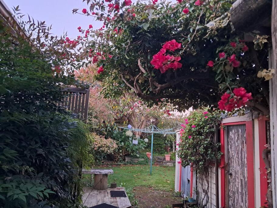 Secret Cottage Waitara エクステリア 写真