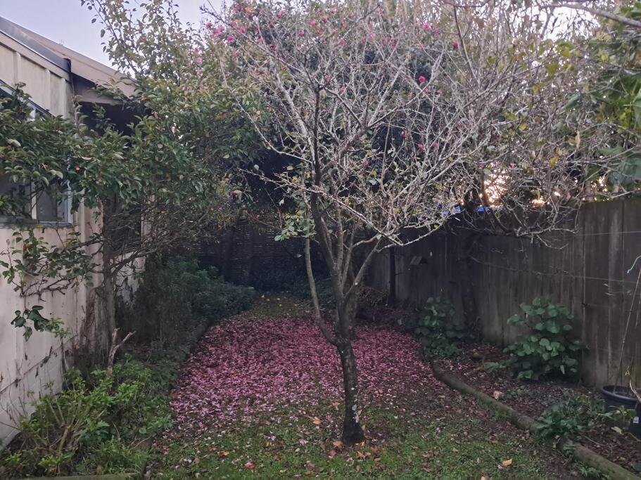 Secret Cottage Waitara エクステリア 写真