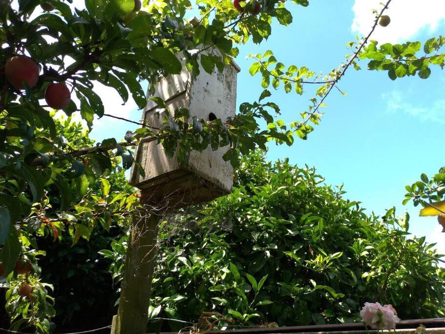 Secret Cottage Waitara エクステリア 写真